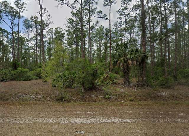 Property at 1315 Maple Ave N, Lehigh Acres, FL 33972