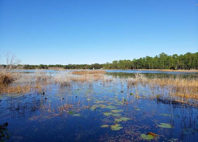 Property at 13.12ac NE Hwy 315, Fort Mc Coy, FL 32134