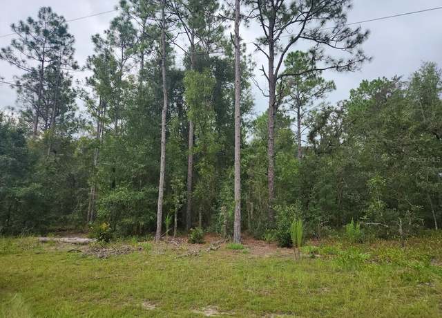 Property at lot 24 SW 89th Cir, Ocala, FL 34473