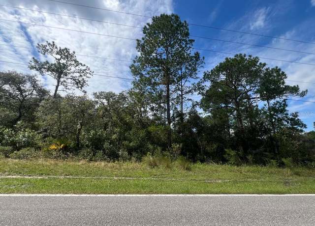 Property at 00 Richardson Blvd Lot 1, Webster, FL 33597