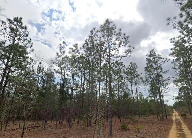 Property at Lime Way, Interlachen, FL 32148