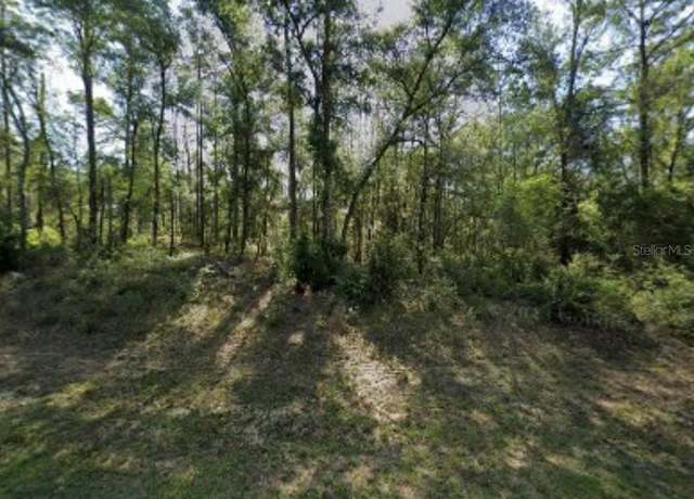 Property at 8965 N Lily Dr, Dunnellon, FL 34434
