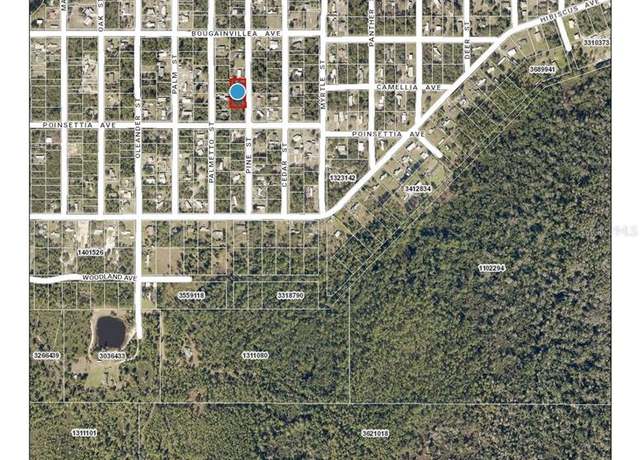 Property at Lot 37-44 Pine St, Paisley, FL 32767
