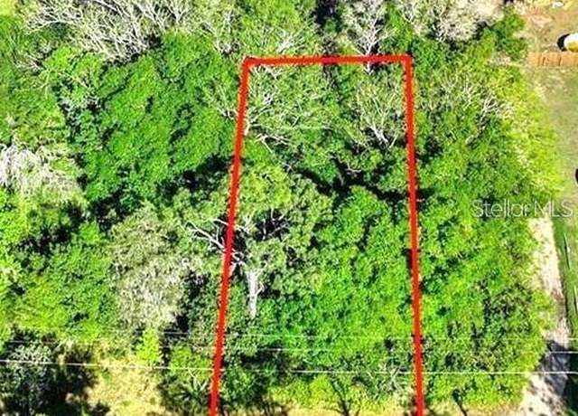 Property at 44126 Spring Creek Rd, Paisley, FL 32767