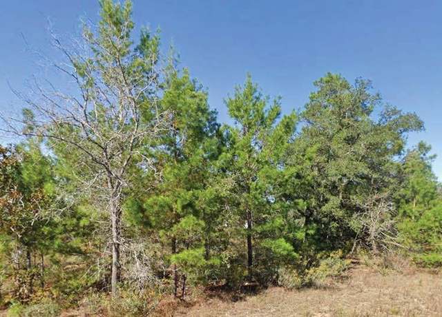 Property at Dumajack Rd, Chipley, FL 32428