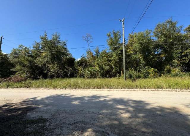 Property at NE 131st Ln, Salt Springs, FL 32134