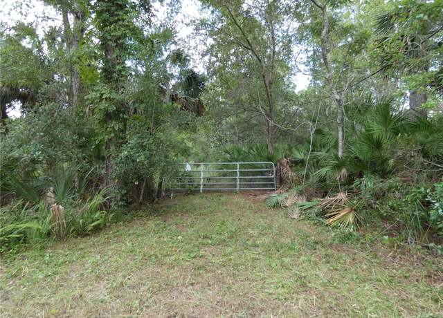 Property at 1275 Davidson Dr, Pierson, FL 32180