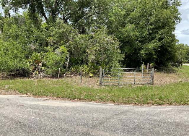 Property at TBD Lot 56 Malauka Radial Trl, Ocklawaha, FL 32179