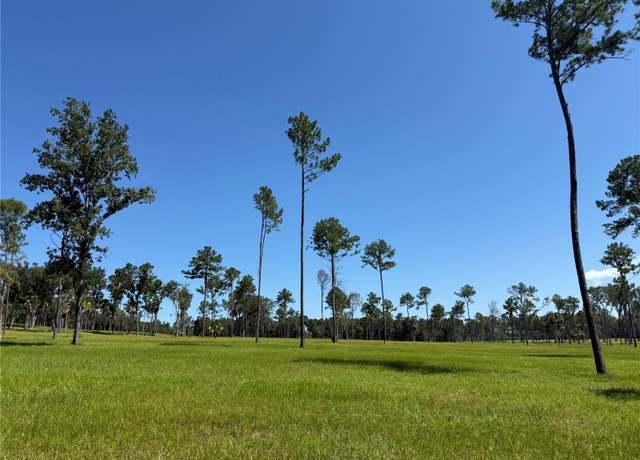 Property at DO #8 (10ac) NW 193rd St, Micanopy, FL 32667