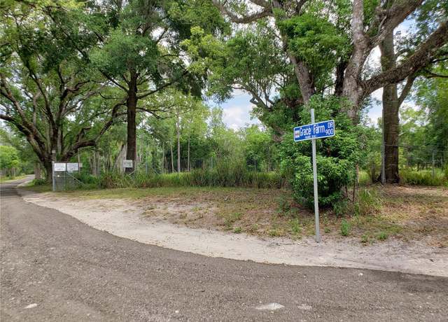 Property at 997 Grace Farm Dr, Lutz, FL 33549