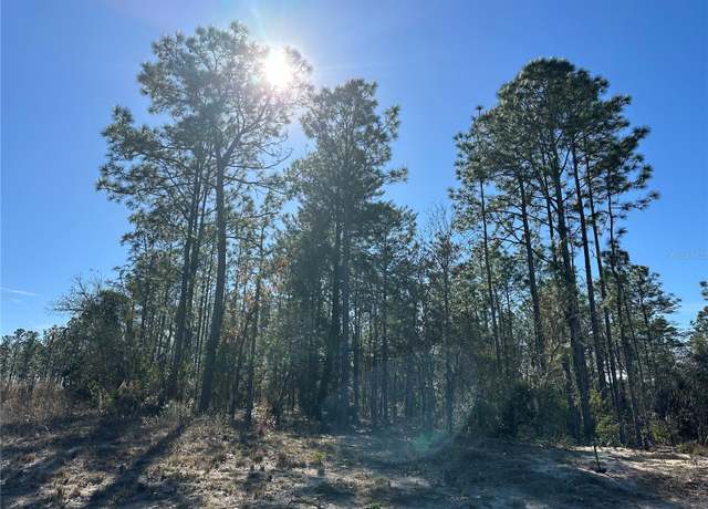 Property at SW 87th Ave, Dunnellon, FL 34432