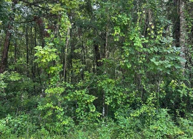 Property at SW 49 Court Ct, Webster, FL 33597