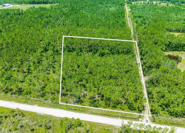Property at Chesser Hammock Rd, Pierson, FL 32180