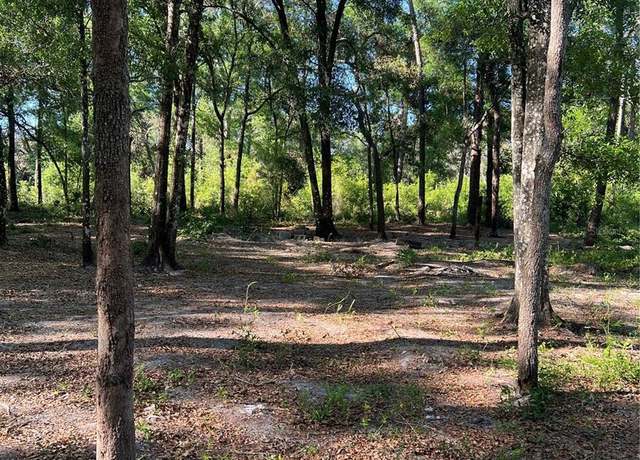 Property at SW 118th Ln, Webster, FL 33597