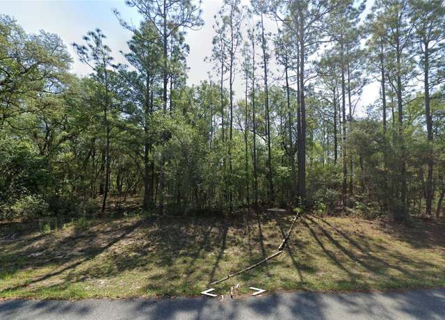 Property at 8123 N Yellowbird Ave, Dunnellon, FL 34434