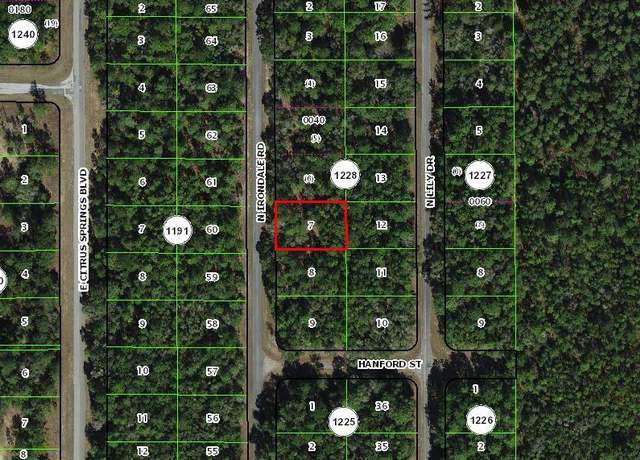 Property at 9239 N Irondale Rd, Citrus Springs, FL 34434