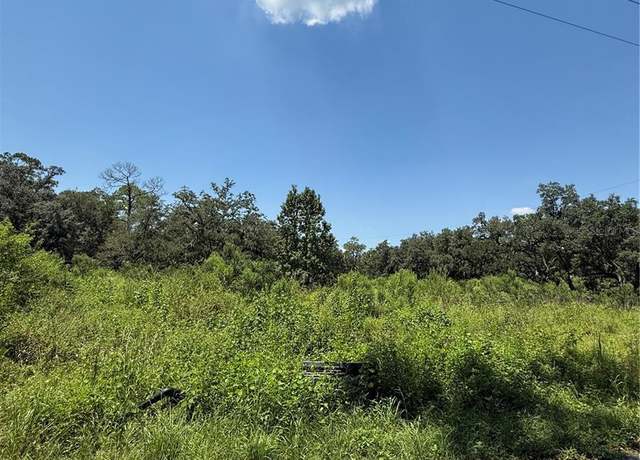 Property at 1356 Montzen Rd, Davenport, FL 33896