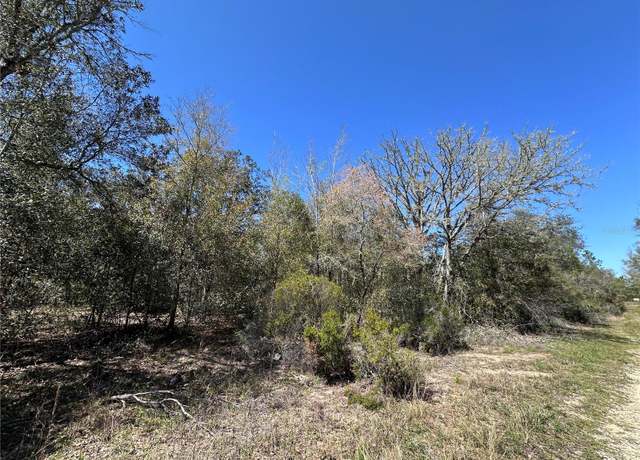 Property at TBD NE 122nd Ave, Williston, FL 32696