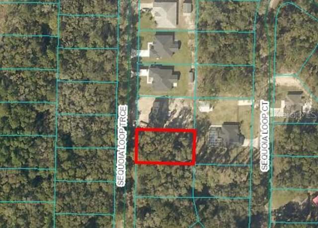 Property at 17 Sequoia Trce, Ocklawaha, FL 32179
