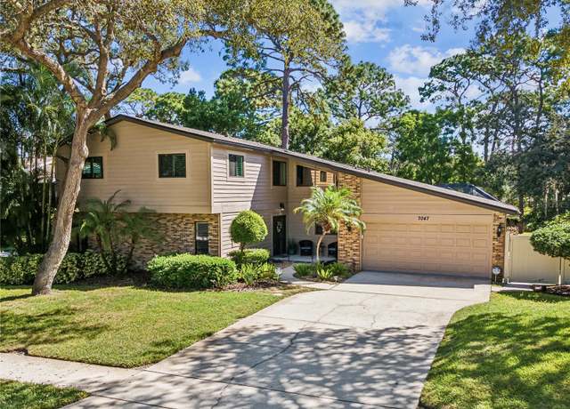 Property at 3047 Enisglen Dr, Palm Harbor, FL 34683, 6 beds, 4 baths