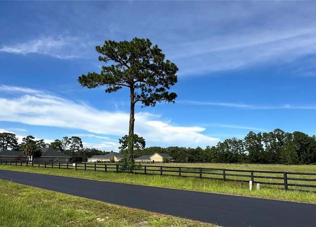Property at TBD NE 61st Avenue Road Rd, Silver Springs, FL 34488