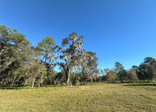 Property at 260ac NW 193rd St, Reddick, FL 32686