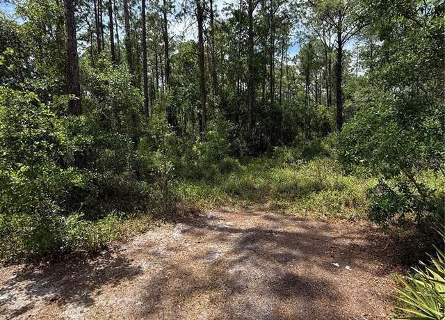 Property at TBD NE 156th Ln, Fort Mc Coy, FL 32134
