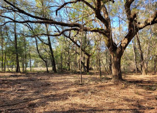 Property at 3.57ac NE 315 Hwy #32, Fort Mc Coy, FL 32134