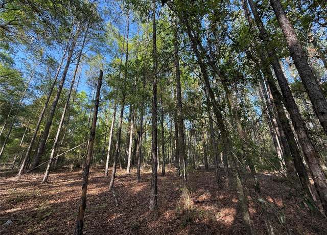 Property at 000 SW Old Lake City Ter, High Springs, FL 32643