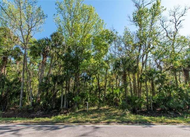 Property at 0 Old Mission Rd, Edgewater, FL 32132