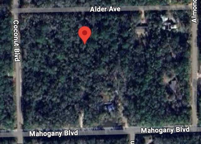 Property at 6327 Alder Ave, Bunnell, FL 32110