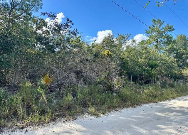 Property at TBD Hon Ave, Lake Helen, FL 32744