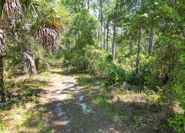 Property at 313 Tall Pine Trl, Satsuma, FL 32189
