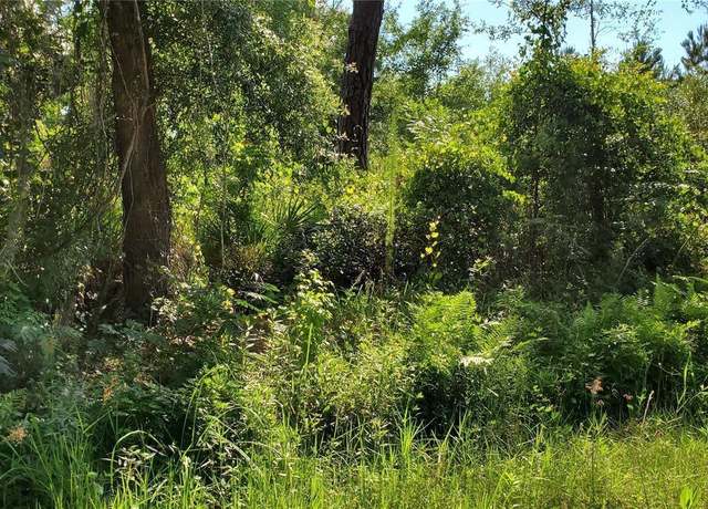 Property at 103 Bowfin Dr, Satsuma, FL 32189