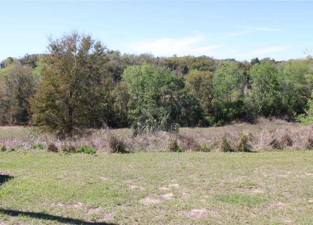 Property at Morningview Dr, Eustis, FL 32726