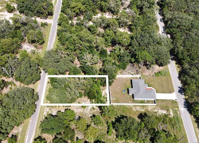 Property at Malauka Trak, Ocklawaha, FL 32179
