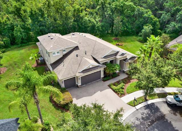 Property at 10015 Hazelnut Ct, Tampa, FL 33647, 6 beds, 4 baths