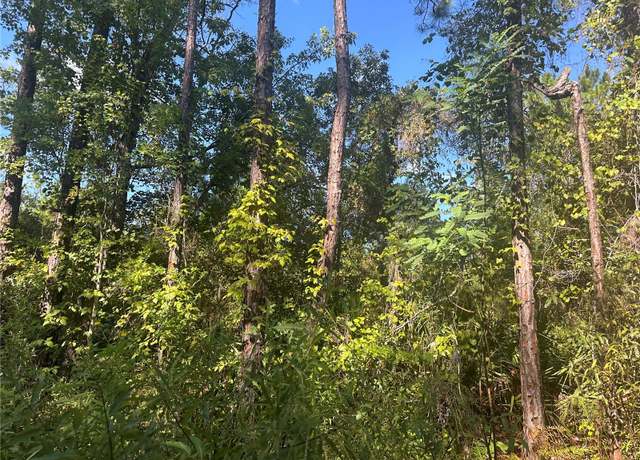 Property at TBD NE 137 Ct, Fort Mc Coy, FL 32134