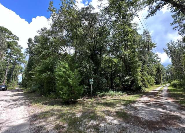 Property at TBD NE 166 St, Fort Mc Coy, FL 32134