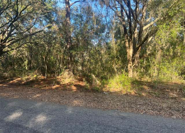 Property at Guava Ter, Ocklawaha, FL 32179