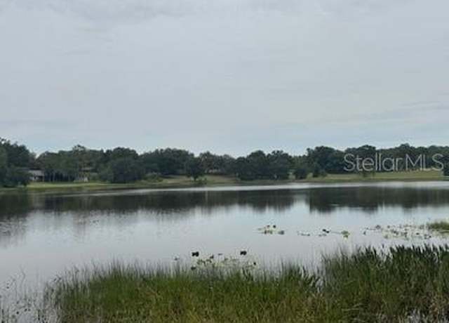Property at 41827 N Emeralda Island Rd, Leesburg, FL 34788