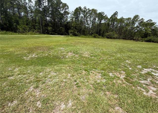 Property at 102 Glenside St, Georgetown, FL 32139