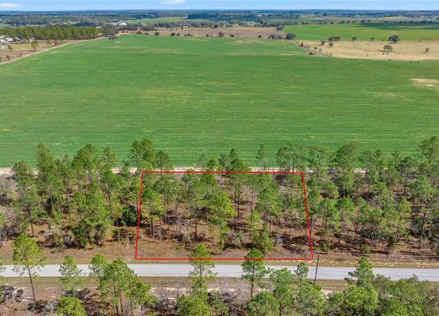 Property at Blk 35, Lots 25,26 NW Buena Vista Rd, Dunnellon, FL 34431