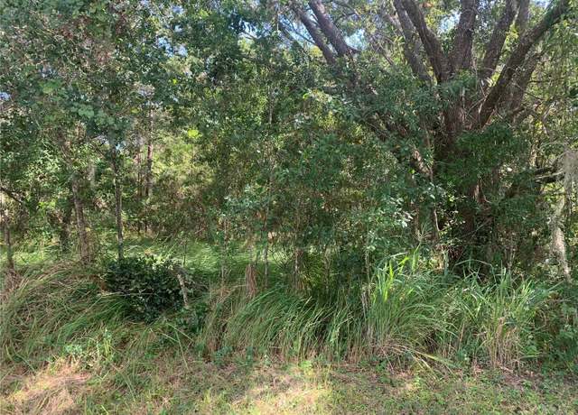 Property at 0 Haig St, Lake Wales, FL 33898