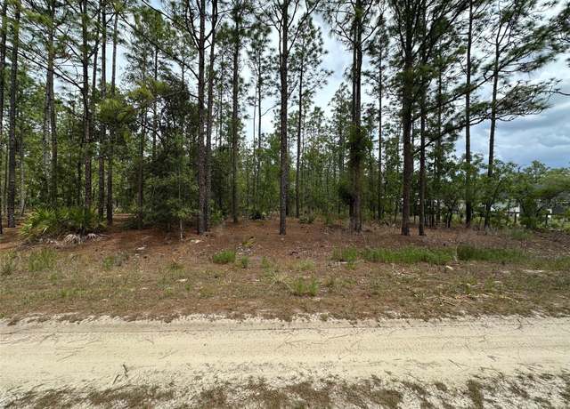 Property at 00 SW 75th St, Dunnellon, FL 34432
