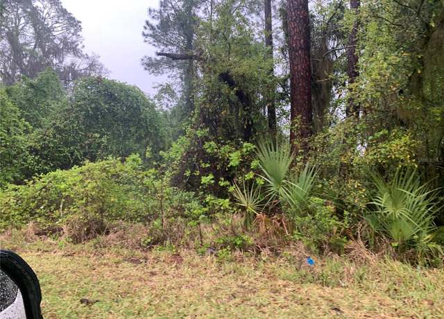 Property at SE 69th Ave, Hawthorne, FL 32640