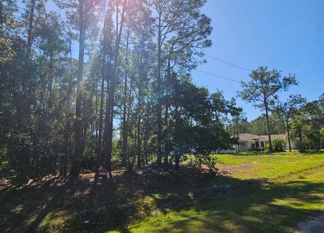 Property at 0 Florida Grackle Ct, Frostproof, FL 33843