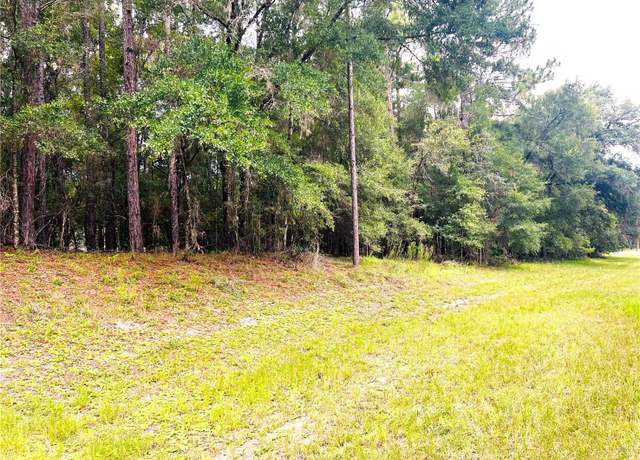 Property at 0000 SW 185 Avenue Road Rd, Dunnellon, FL 34432