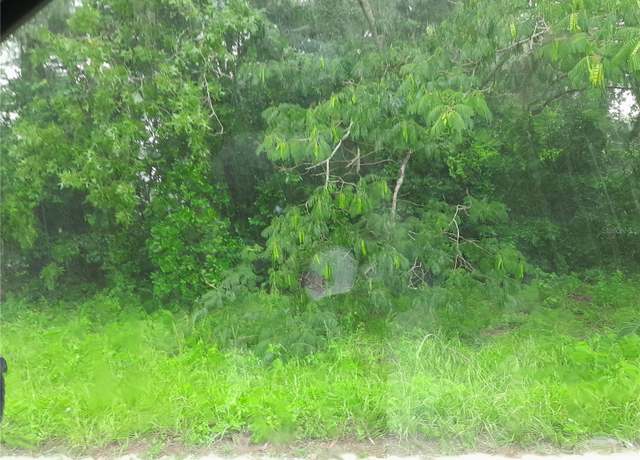 Property at tbd NE 48th St, Williston, FL 32696