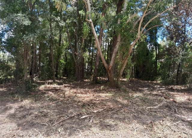 Property at tbd NE 48th St, Williston, FL 32696